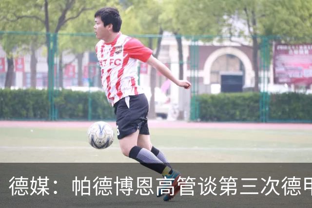 德媒：帕德博恩高管谈第三次德甲保级，靠整体与稳定